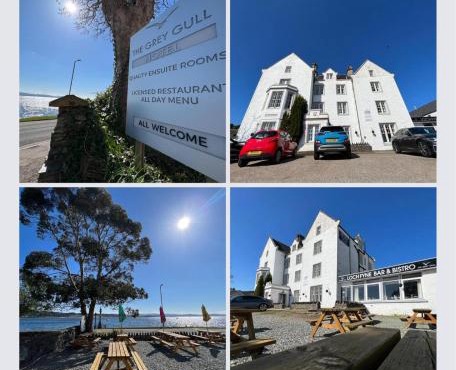 The Grey Gull Hotel