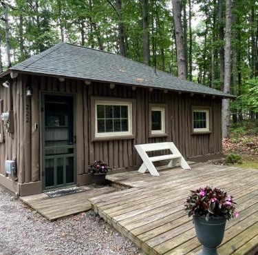 The Higgins Lake Hideaway - Super Cute!