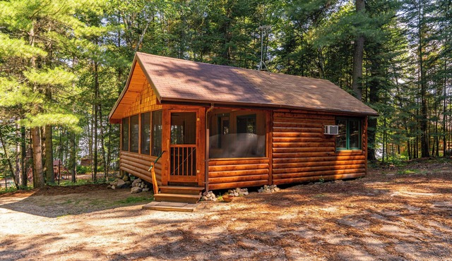 The Most Private, Pet-Friendly Cabin (New Screened Porch in 2024)