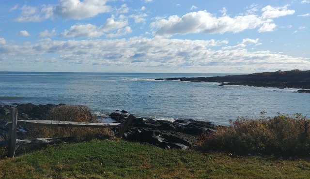 The Oceanfront Experience You've Been Waiting For!