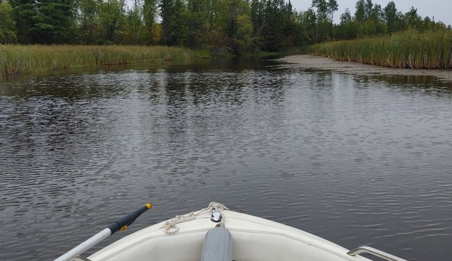 The River Retreat! Private Wooded Getaway