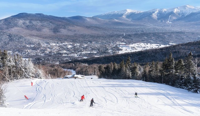 Townhomes at Bretton Woods