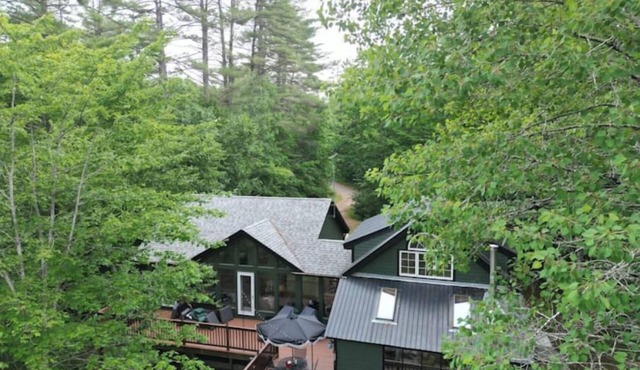 Treetops at Kezar Lake