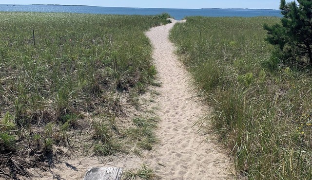 Updated Cottage - Steps to Pine Point Beach!