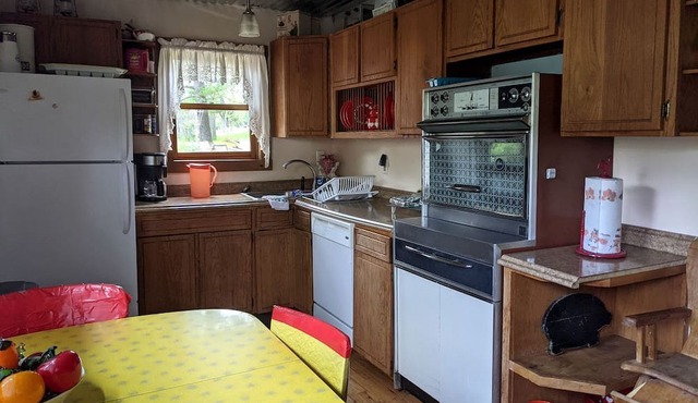 Vintage Cabin Rental near Tippy Dam in Manistee National Forest, Michigan