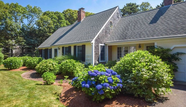 Walk to Beach, Private Patio and Backyard!