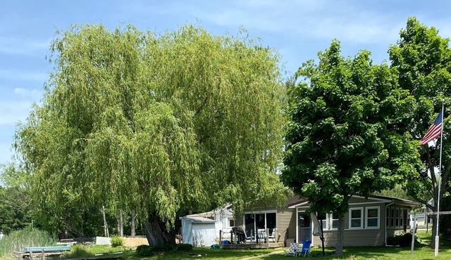 Willow Shores - Newly Updated Lake Front Cottage