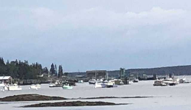 Winter Rental Bass Harbor Waterfront Acadia National Park, Mt Desert Bar Harbor