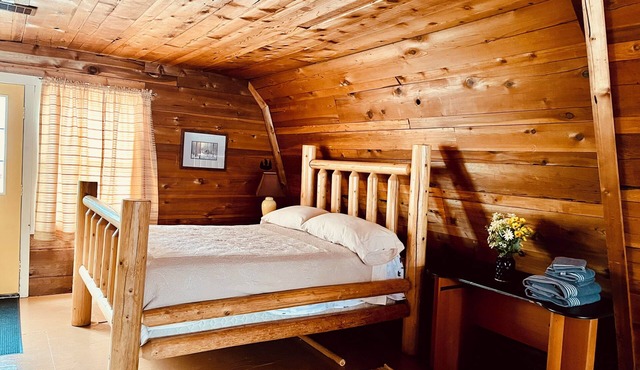 Woodsy fun 3 queen bed rental with AC , firepit NW recreational sports in Irons