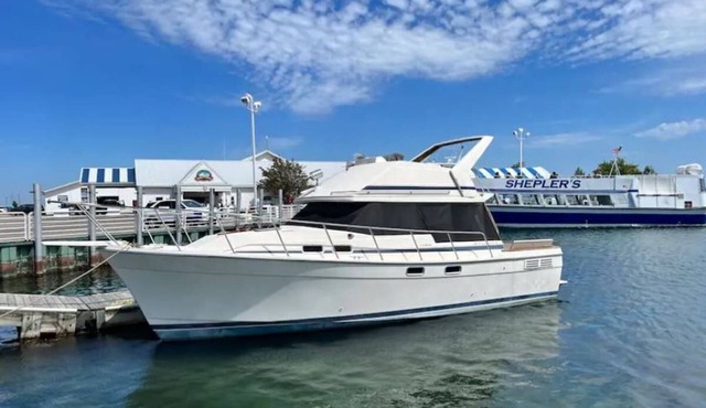 Yachts of Fun