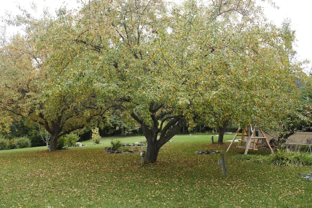 Photo of Outdoor in International Falls