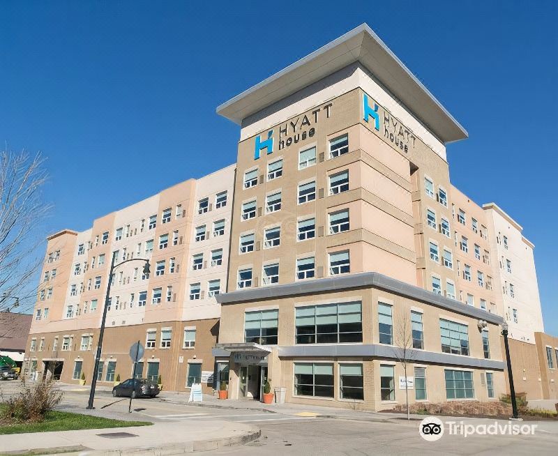 Photo of Buildings in South Side Flats