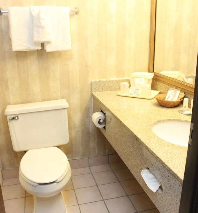 Photo of Bathroom in Romulus
