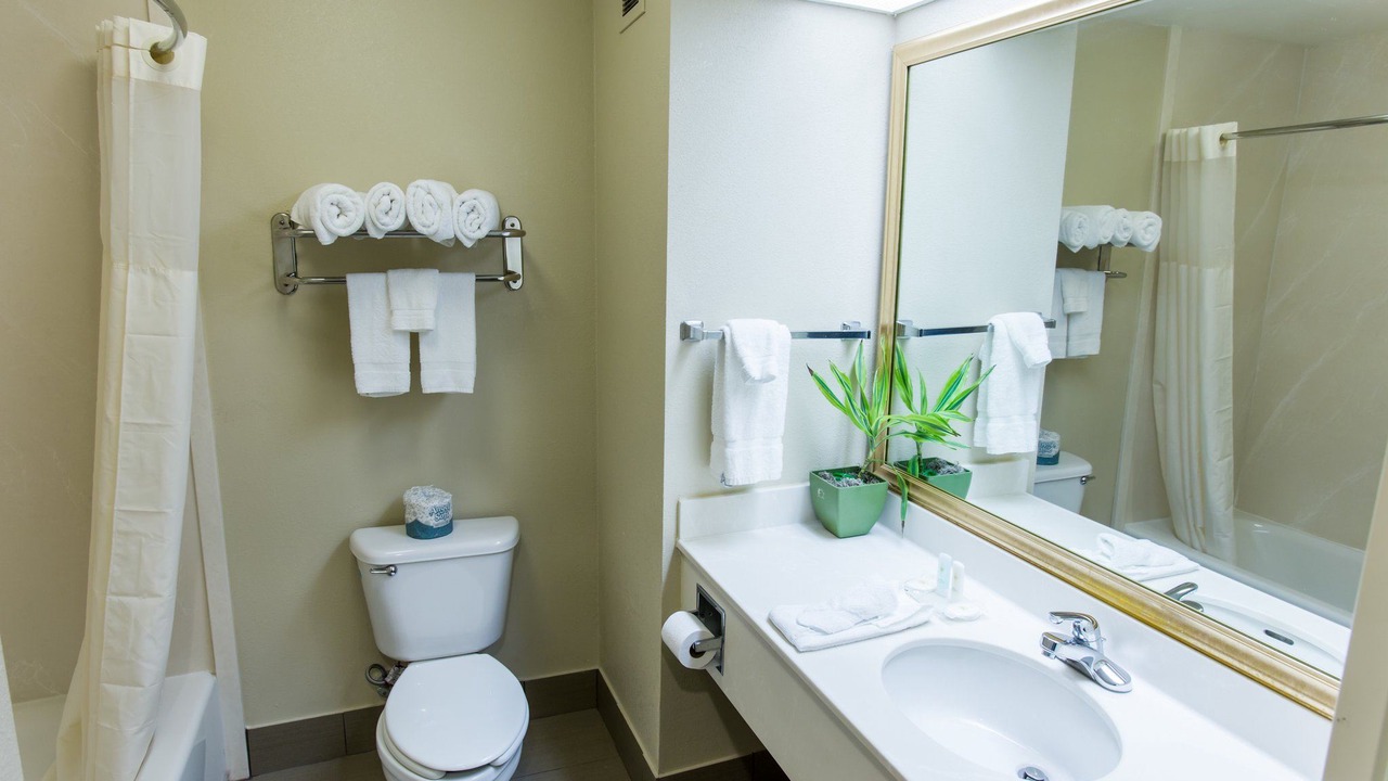 Photo of Bathroom in Ottawa