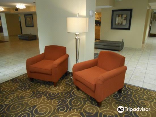 Photo of Livingroom in International Falls