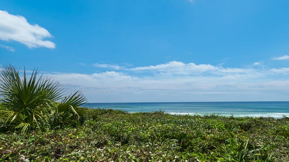 Photo of Others in Seagrove Beach