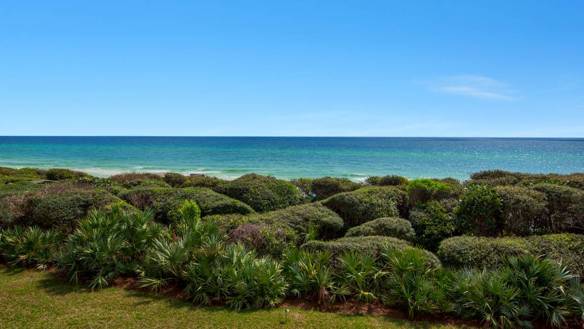 Photo of Others in Seagrove Beach