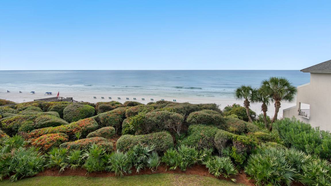 Photo of Others in Seagrove Beach