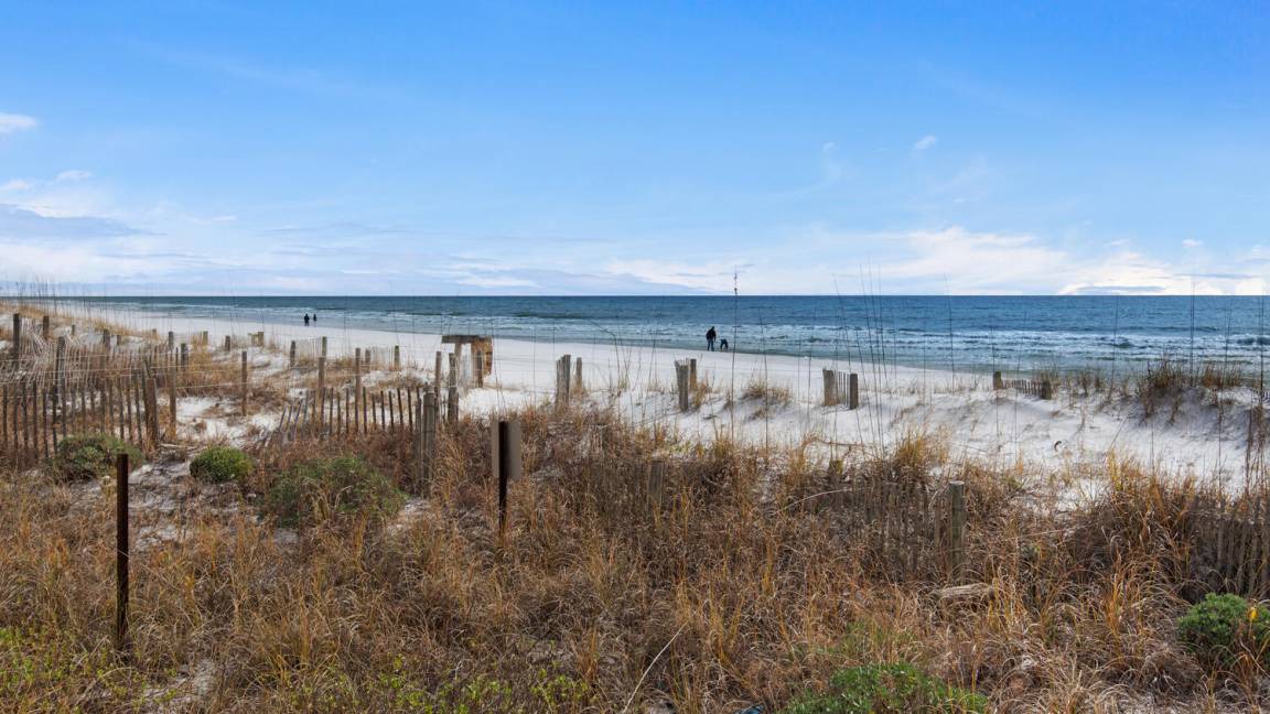 Photo of Others in Seagrove Beach
