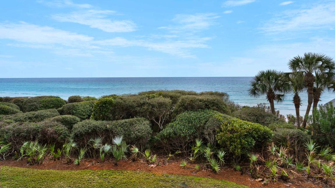 Photo of Others in Seagrove Beach