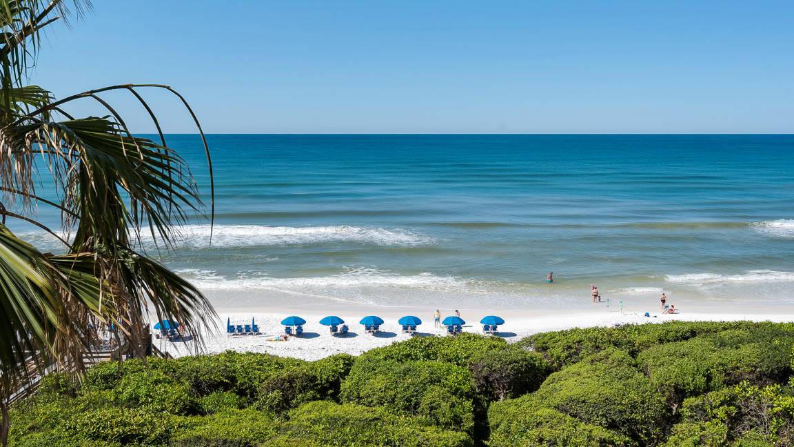 Photo of Others in Seagrove Beach