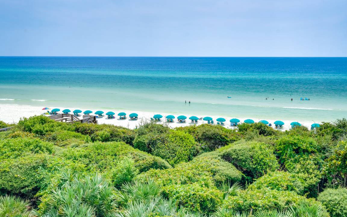 Photo of Others in Seagrove Beach