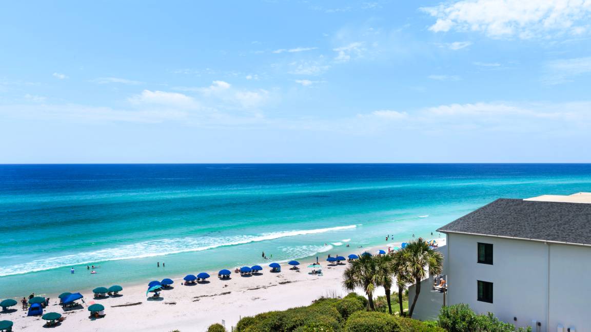 Photo of Others in Seagrove Beach