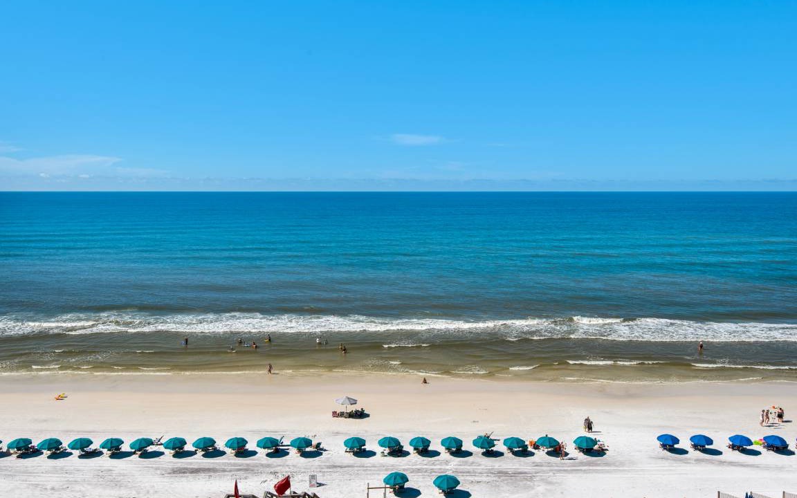Photo of Others in Seagrove Beach