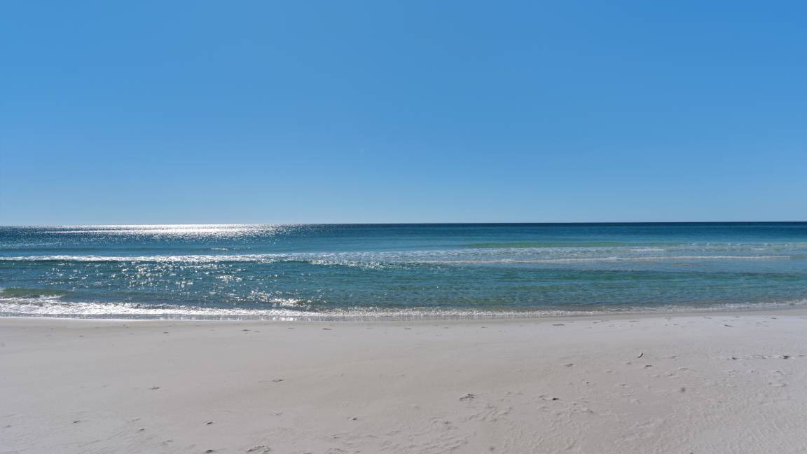 Photo of Others in Seagrove Beach