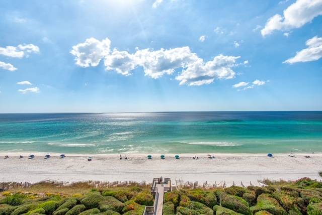 Photo of Others in Seagrove Beach
