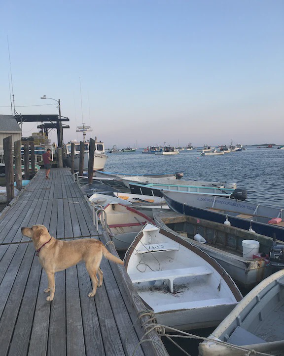 Photo of Others in Southern Coast
