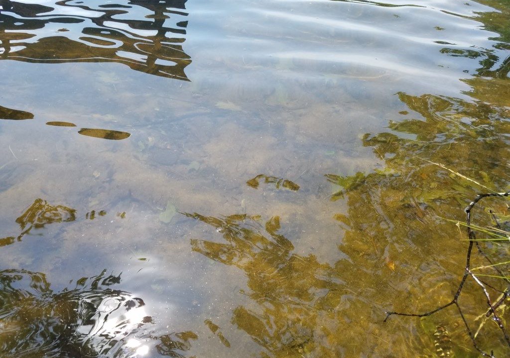 Photo of Outdoor in Woodruff