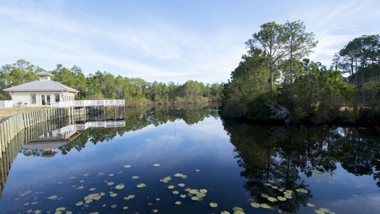 Photo of Outdoor in Seagrove Beach