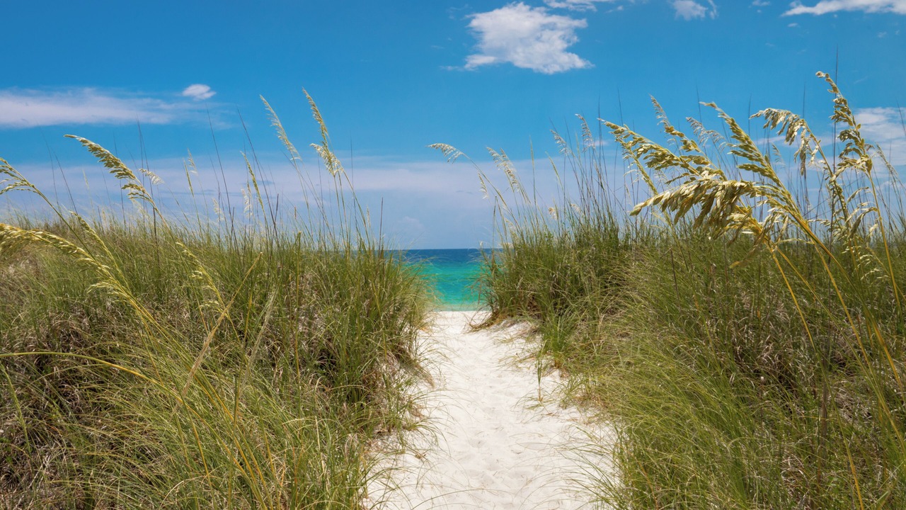 Photo of Others in Seagrove Beach