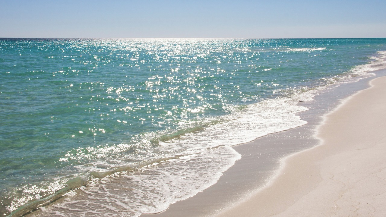 Photo of Others in Seagrove Beach