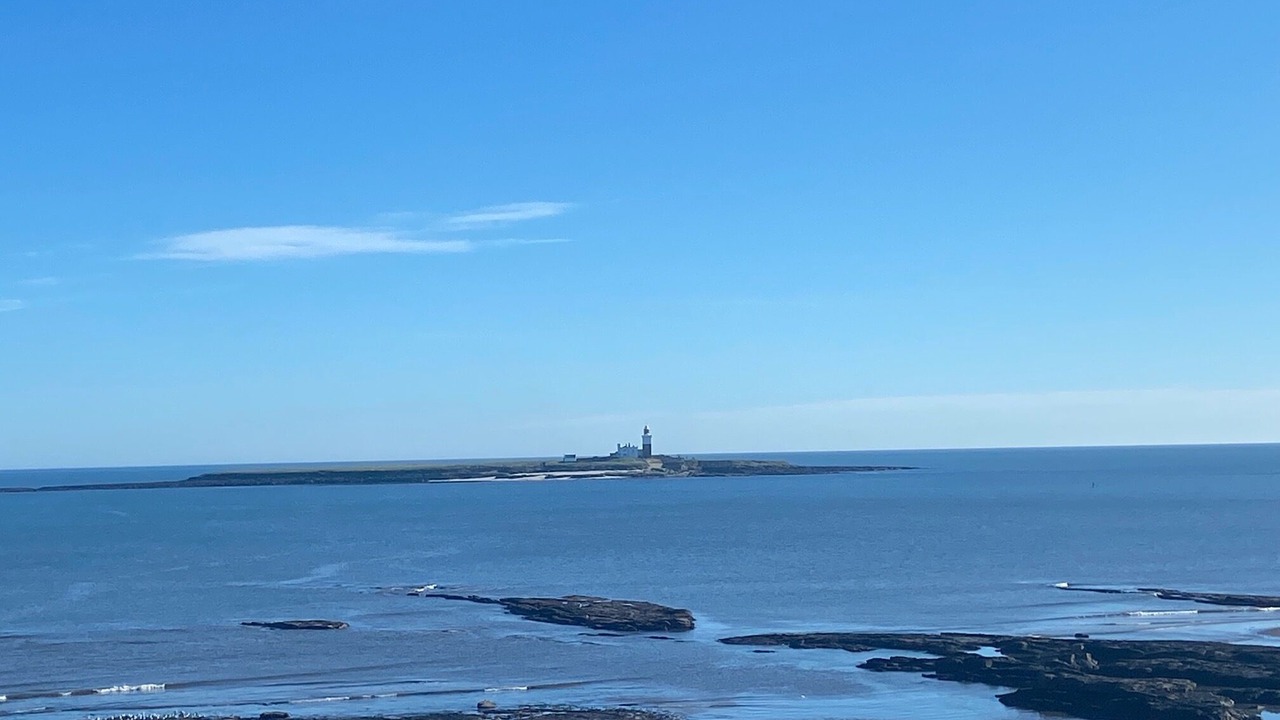 Photo of Others in Amble