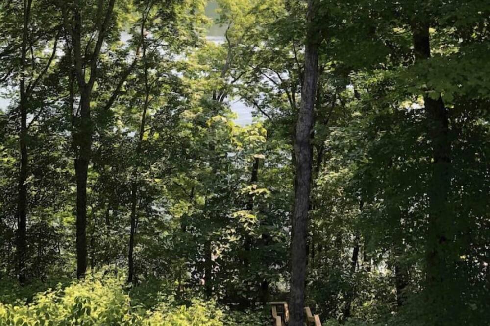 Photo of Outdoor in Bronston