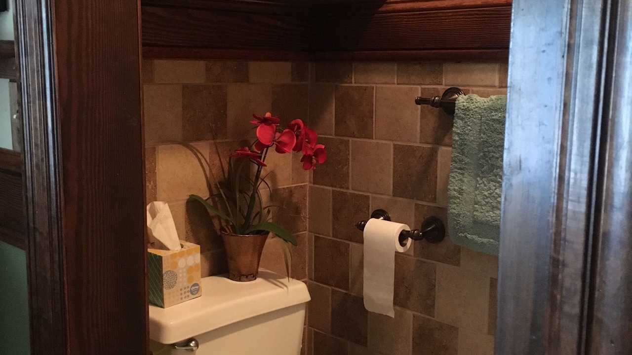 Photo of Bathroom in Rosemont