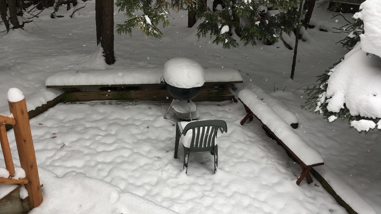 Photo of Outdoor in Boyne Falls