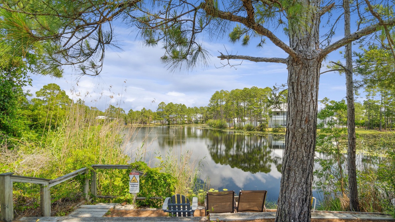 Photo of Outdoor in Seagrove Beach