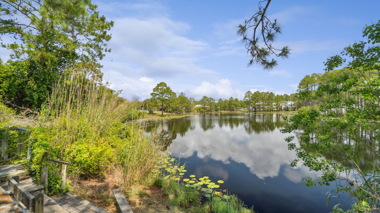 Photo of Outdoor in Seagrove Beach