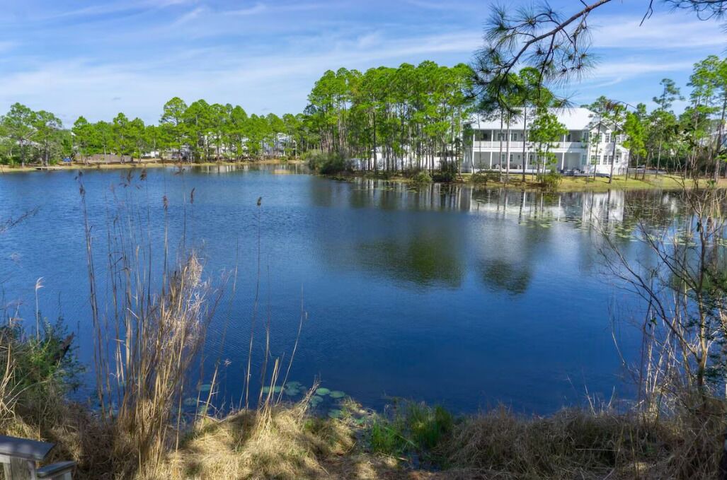 Photo of Others in Seagrove Beach