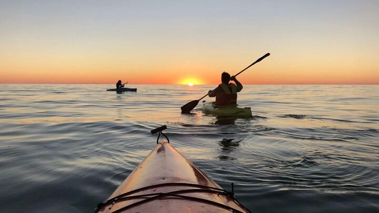 Photo of Others in Cedar