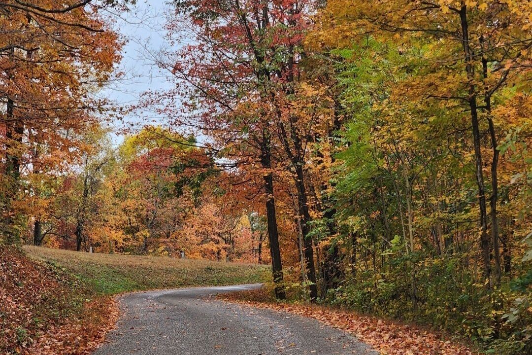 Photo of Others in Laurelville