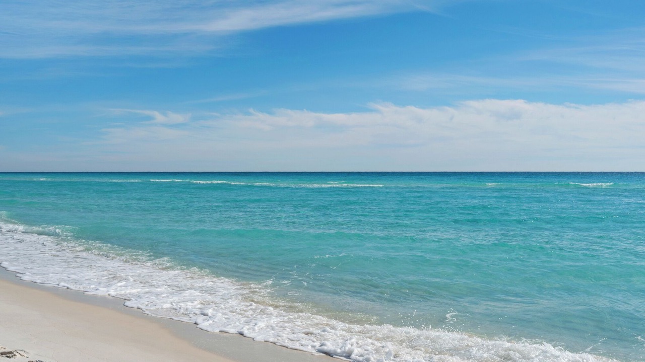 Photo of Others in Seagrove Beach