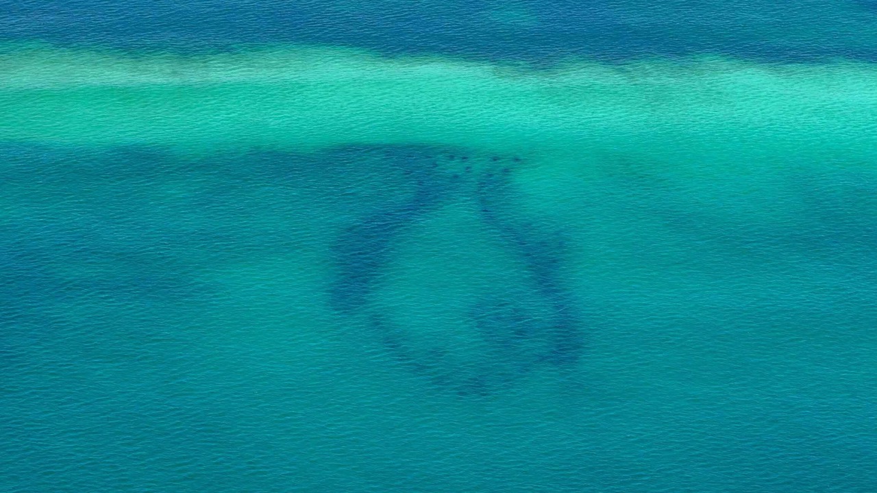 Photo of Others in Gulf Mist