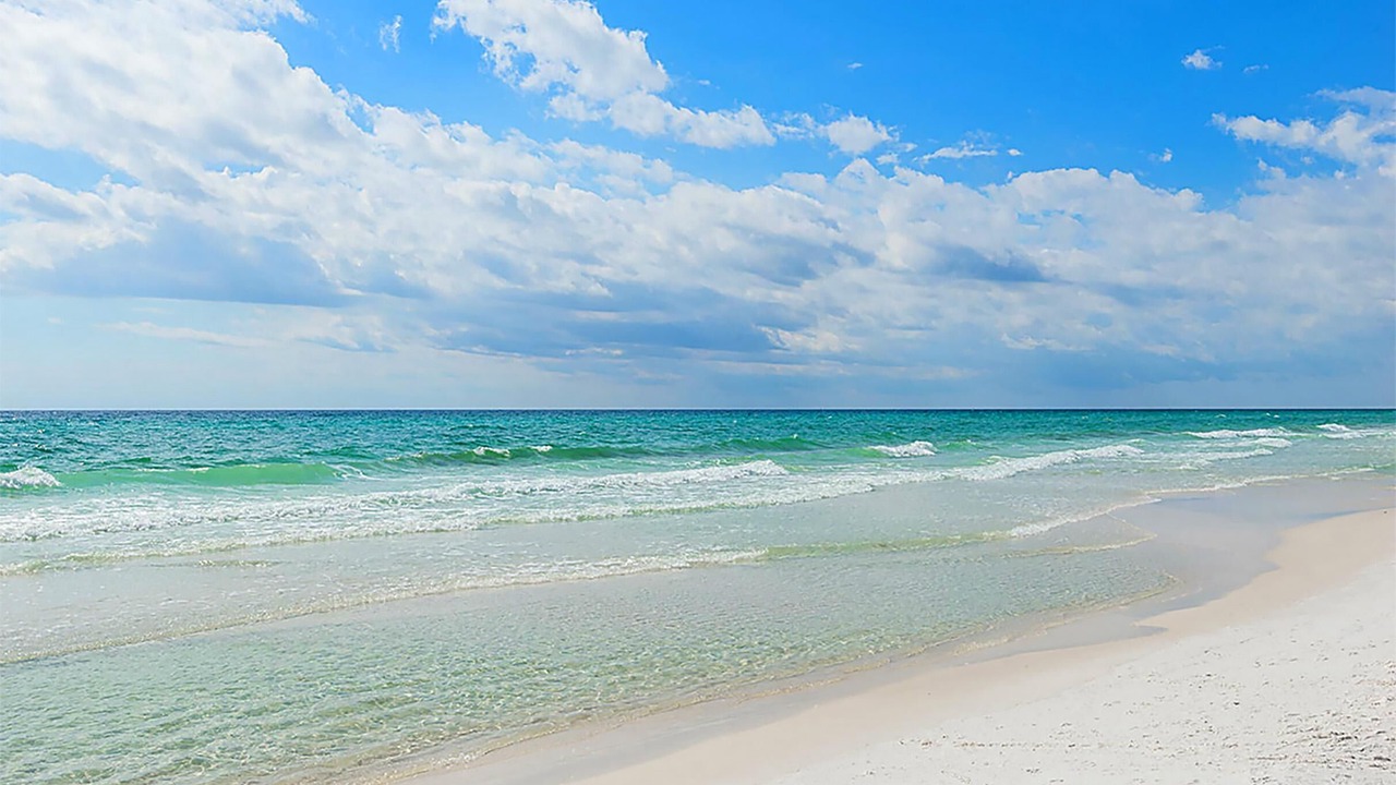 Photo of Others in Dune Allen Beach