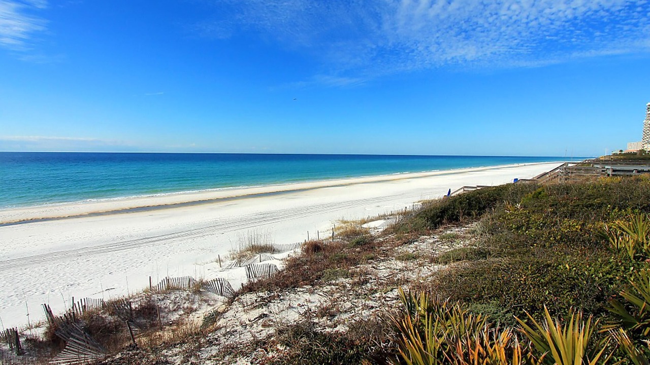 Photo of Others in Seagrove Beach