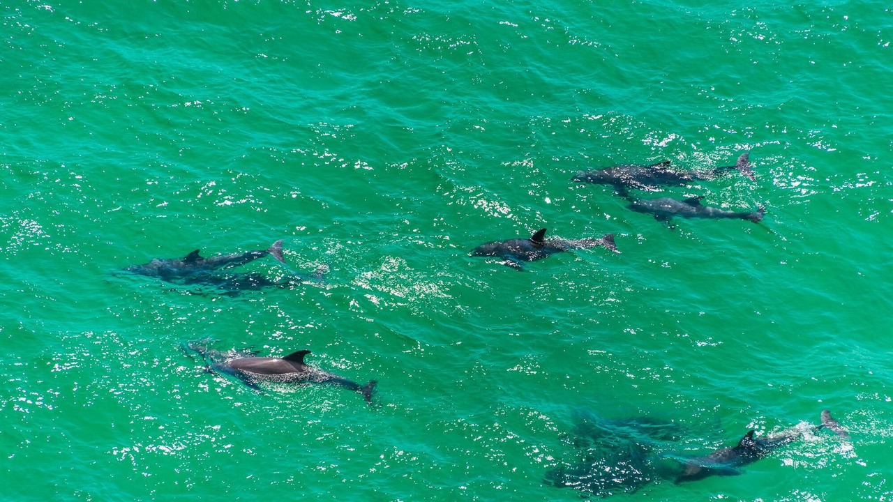 Photo of Others in Seagrove Beach