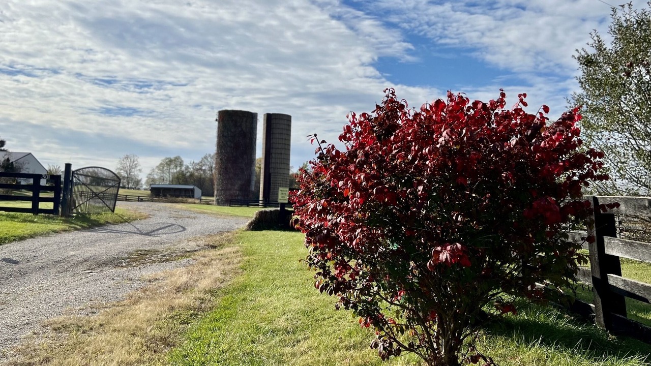 Photo of Outdoor in Port Royal
